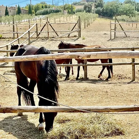 农家乐 Colle Delle Stelle *