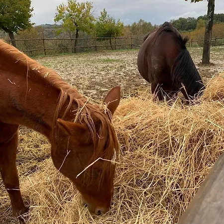 Farmház Colle Delle Stelle