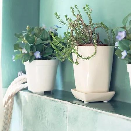 Farmház Colle Delle Stelle *